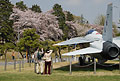 桜とF-16